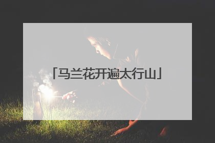 马兰花开遍太行山